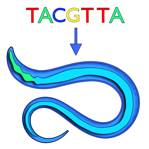 Master Thesis Logo